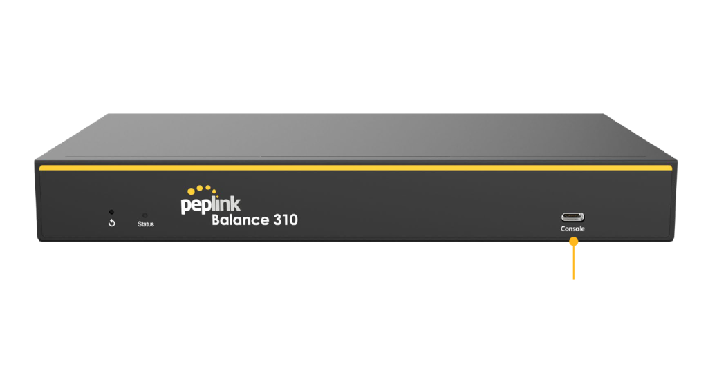 Peplink Balance 310