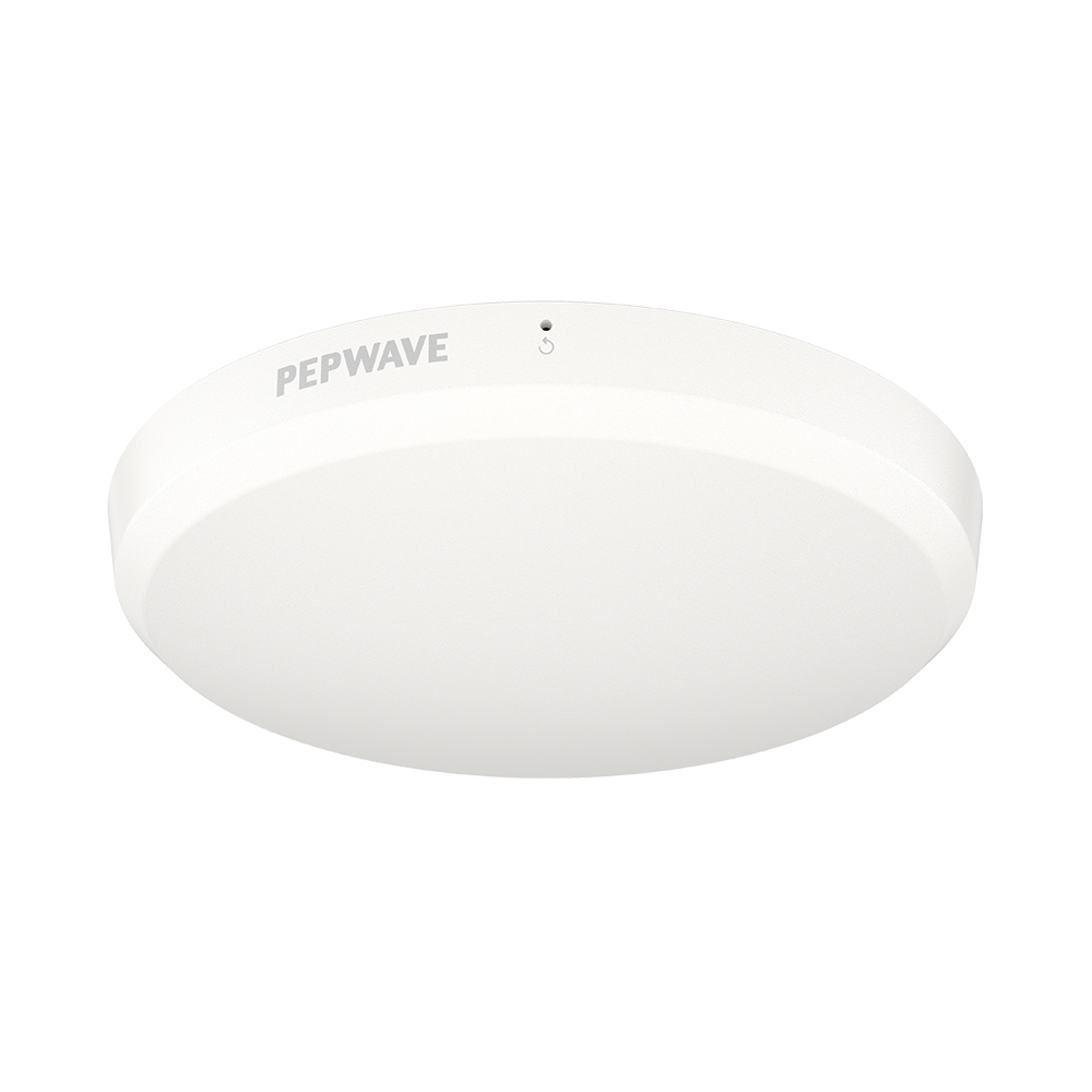 Peplink AP One Enterprise – view 3